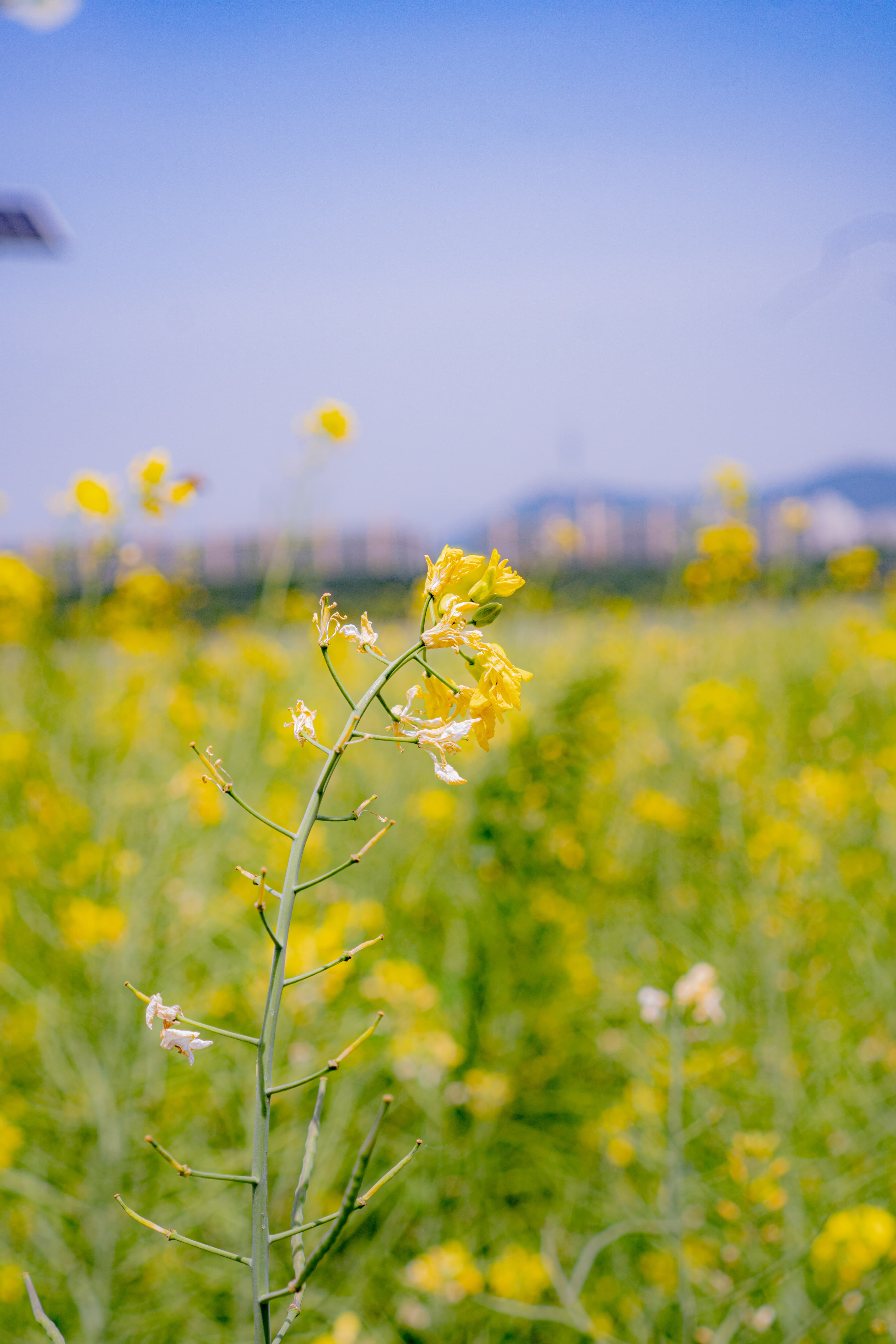 빛을 모으는 사람 대표 사진