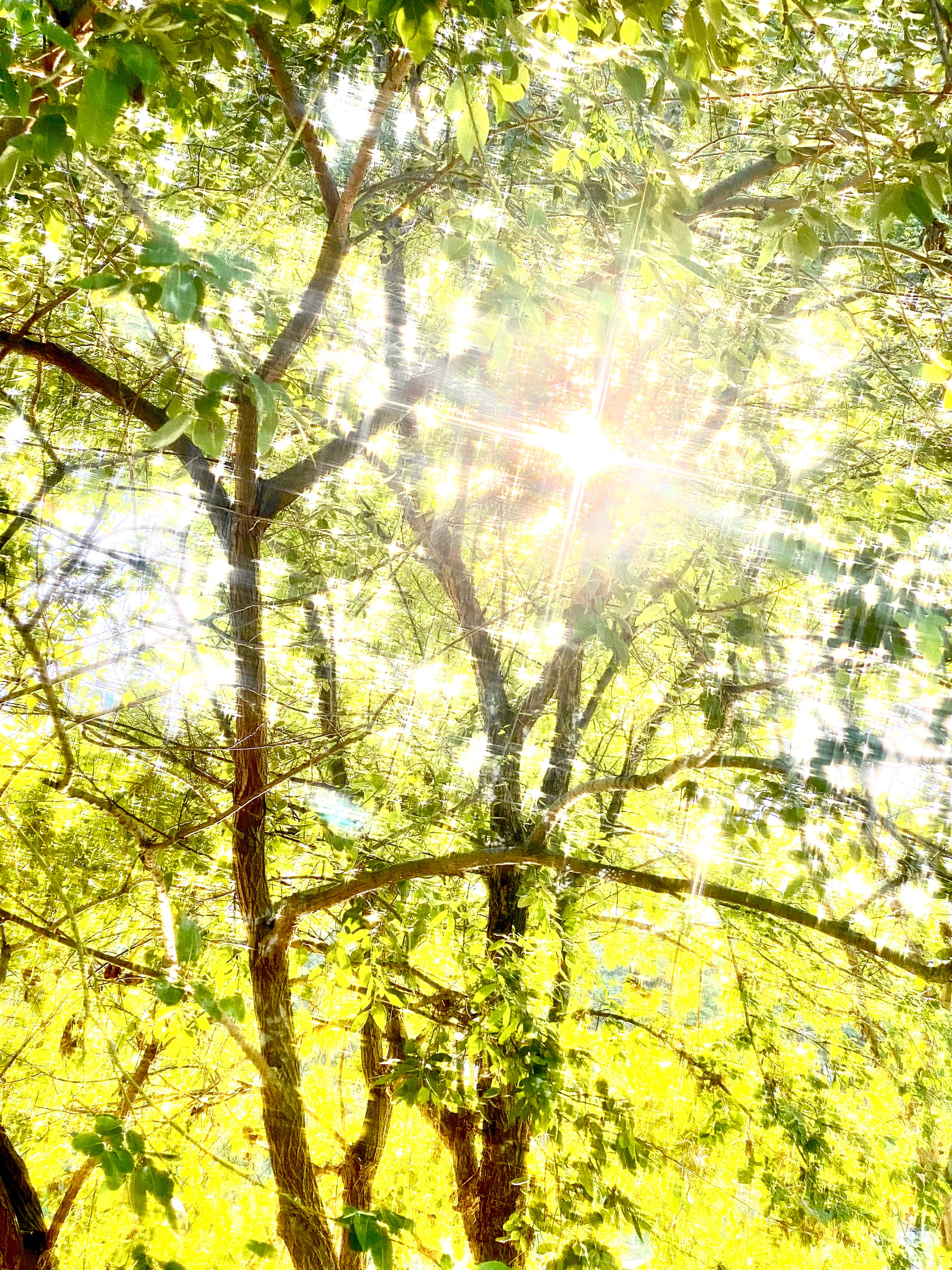 순간을 붙잡는 사람 대표 사진