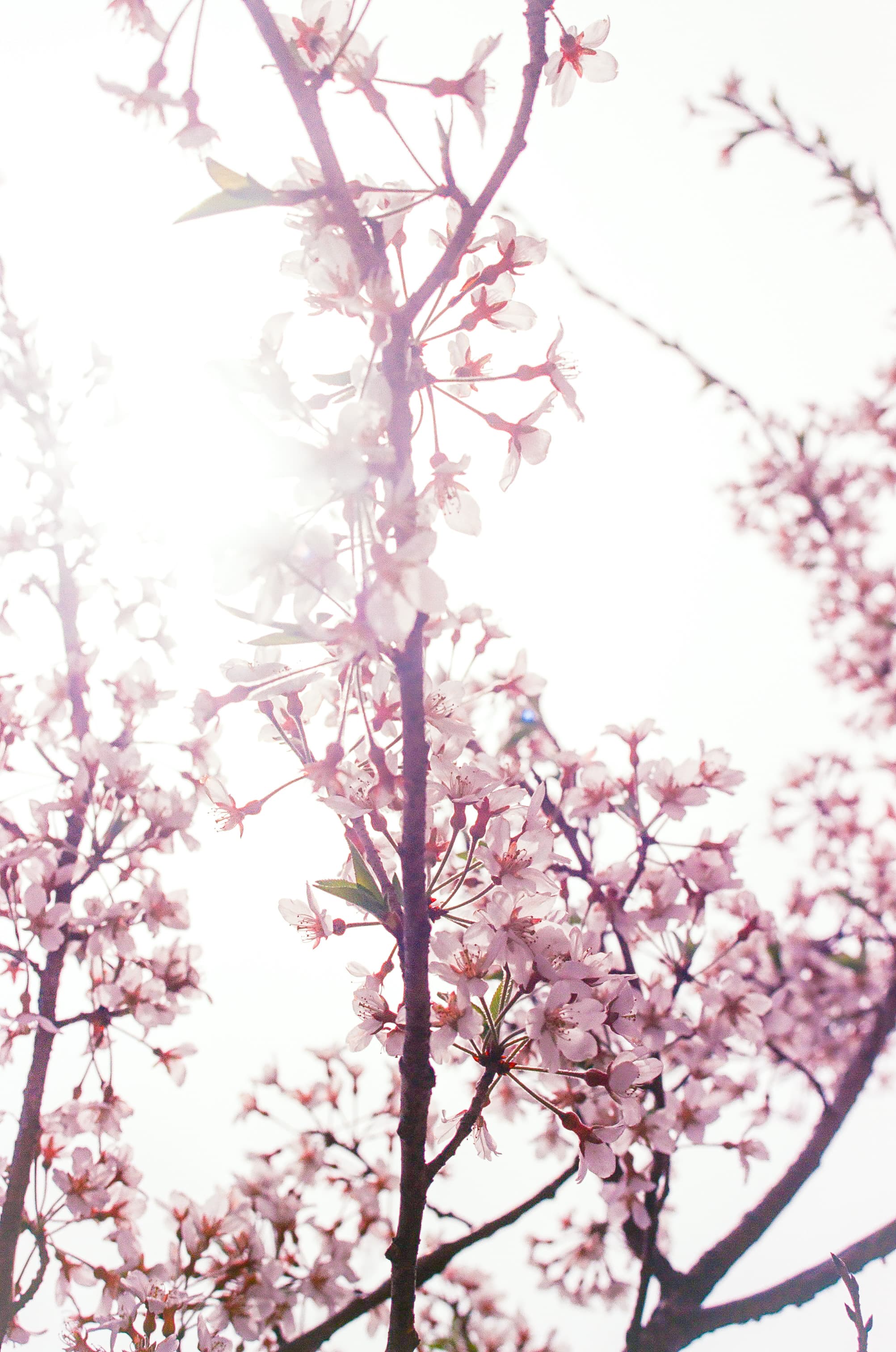 여백을 사랑하는 사람 대표 사진