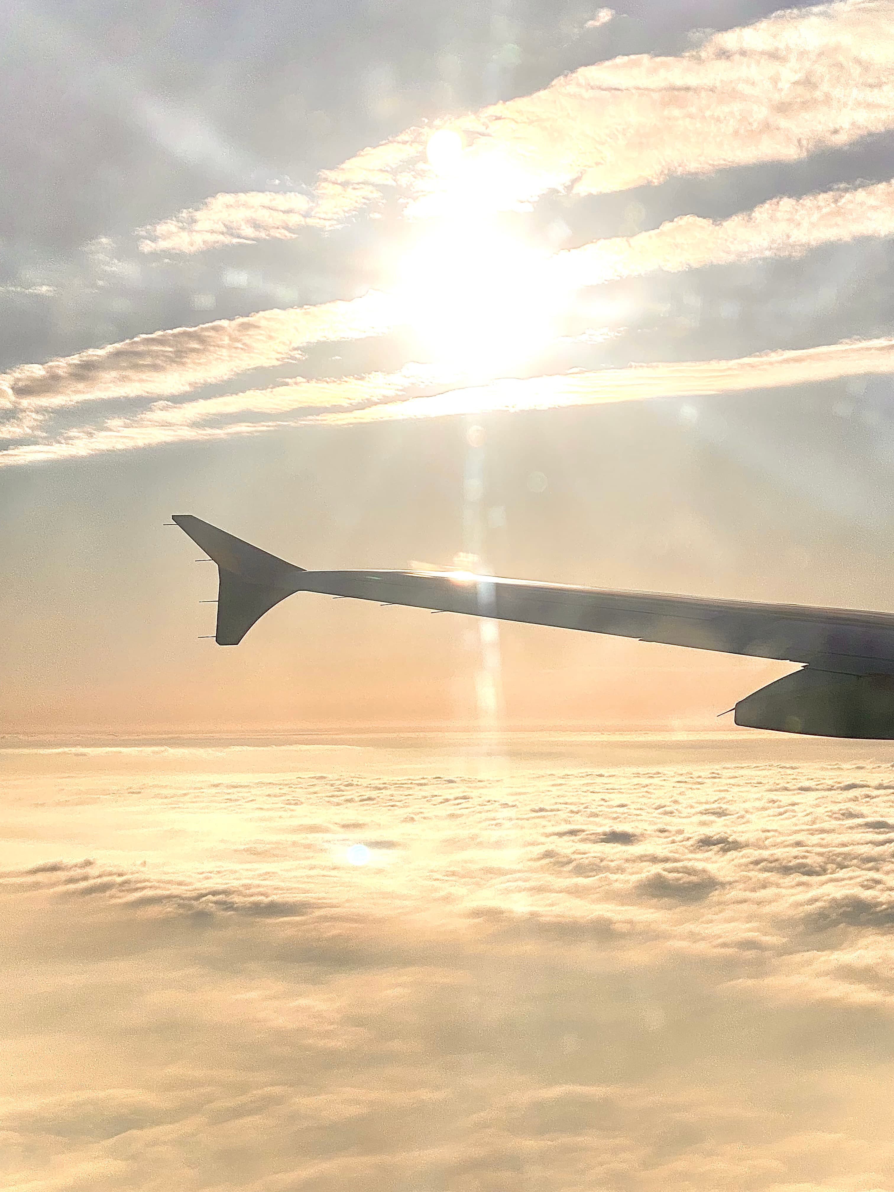 낯선 분위기에 끌리는 사람 대표 사진